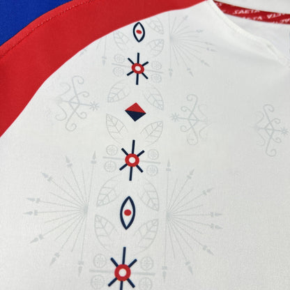 Haiti Away Soccer Jersey World Cup 2026