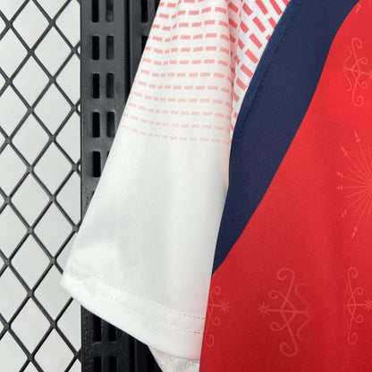 Haiti Third Soccer Jersey World Cup 2026