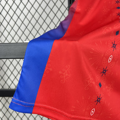 Haiti Third Soccer Jersey World Cup 2026
